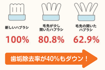 毎月8日は歯ブラシ交換の日🦷