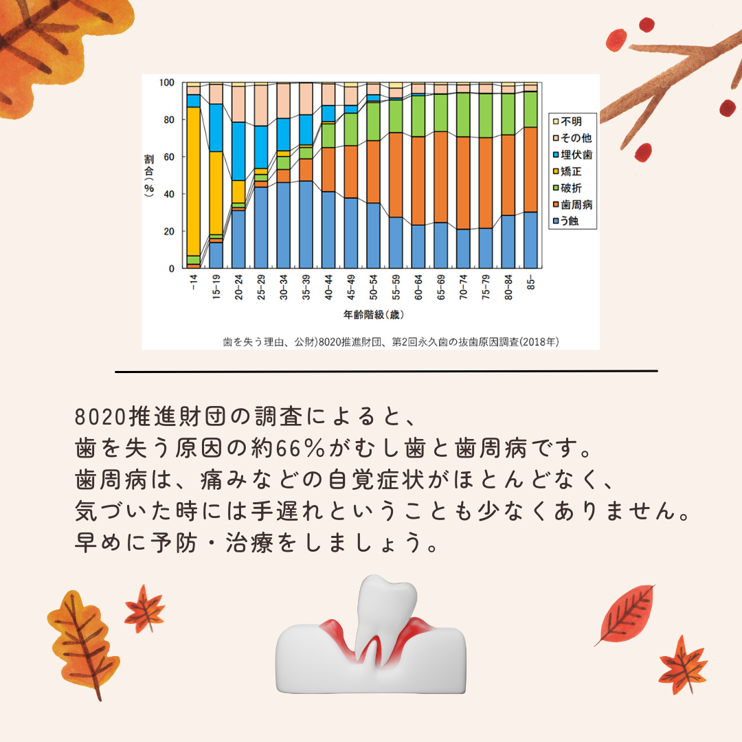 敬老の日🍁